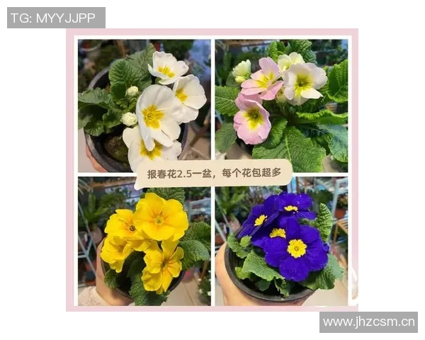 花卉种植技巧与养护方法全面解析,打造美丽花园的实用指南 花卉种植技巧与养护方法全面解析,打造美丽花园的实用指南